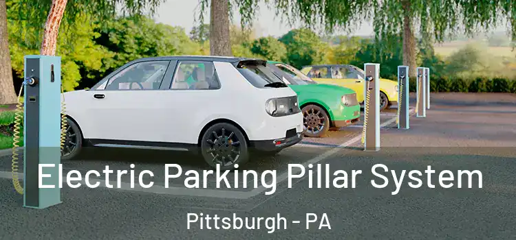  Electric Parking Pillar System Pittsburgh - PA