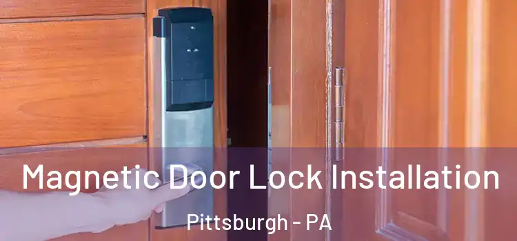  Magnetic Door Lock Installation Pittsburgh - PA